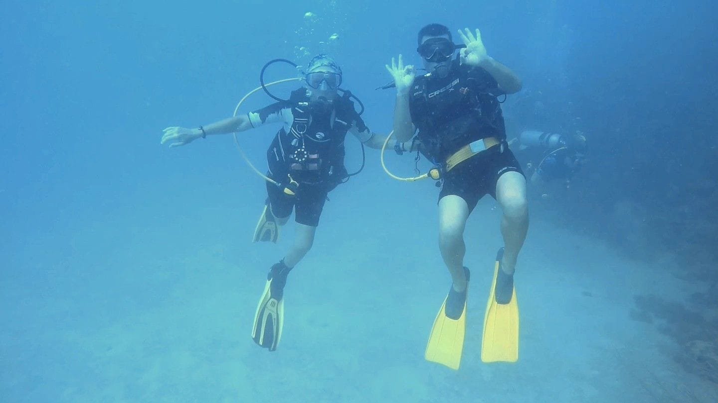 Il fondale marino di Bayahíbe
