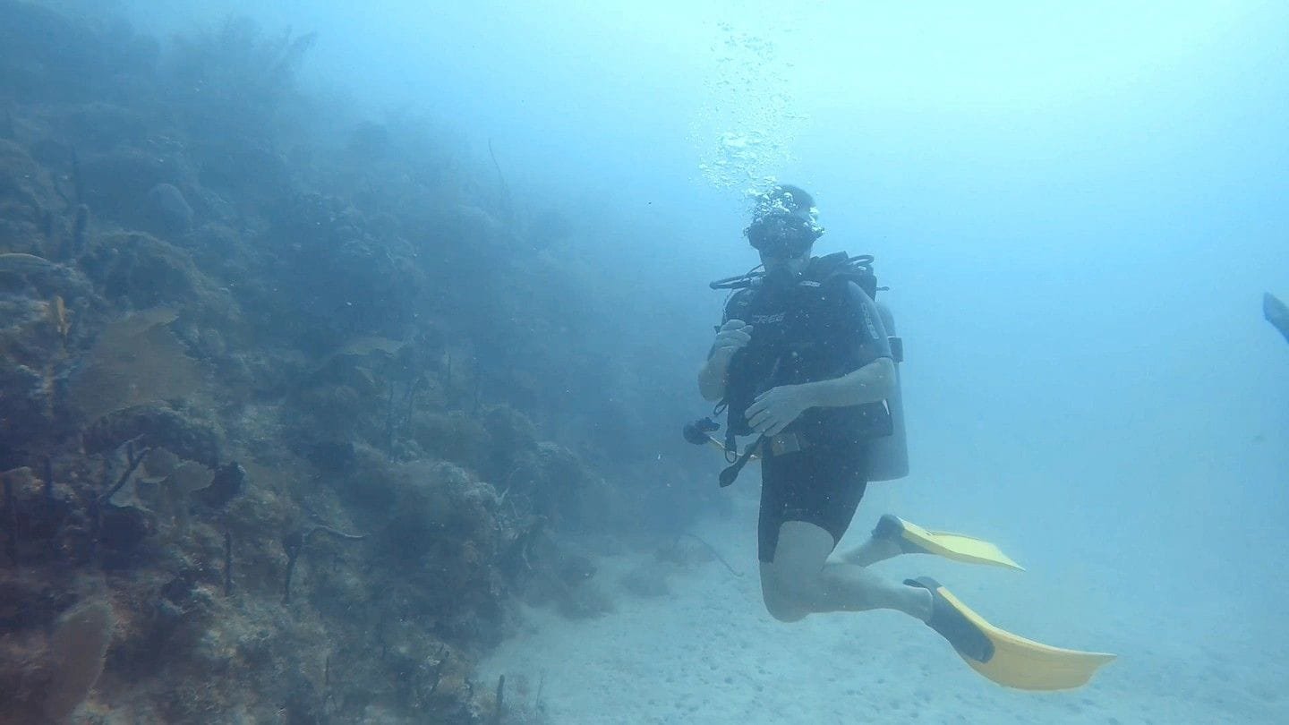Il gruppo di diving pronto a partire
