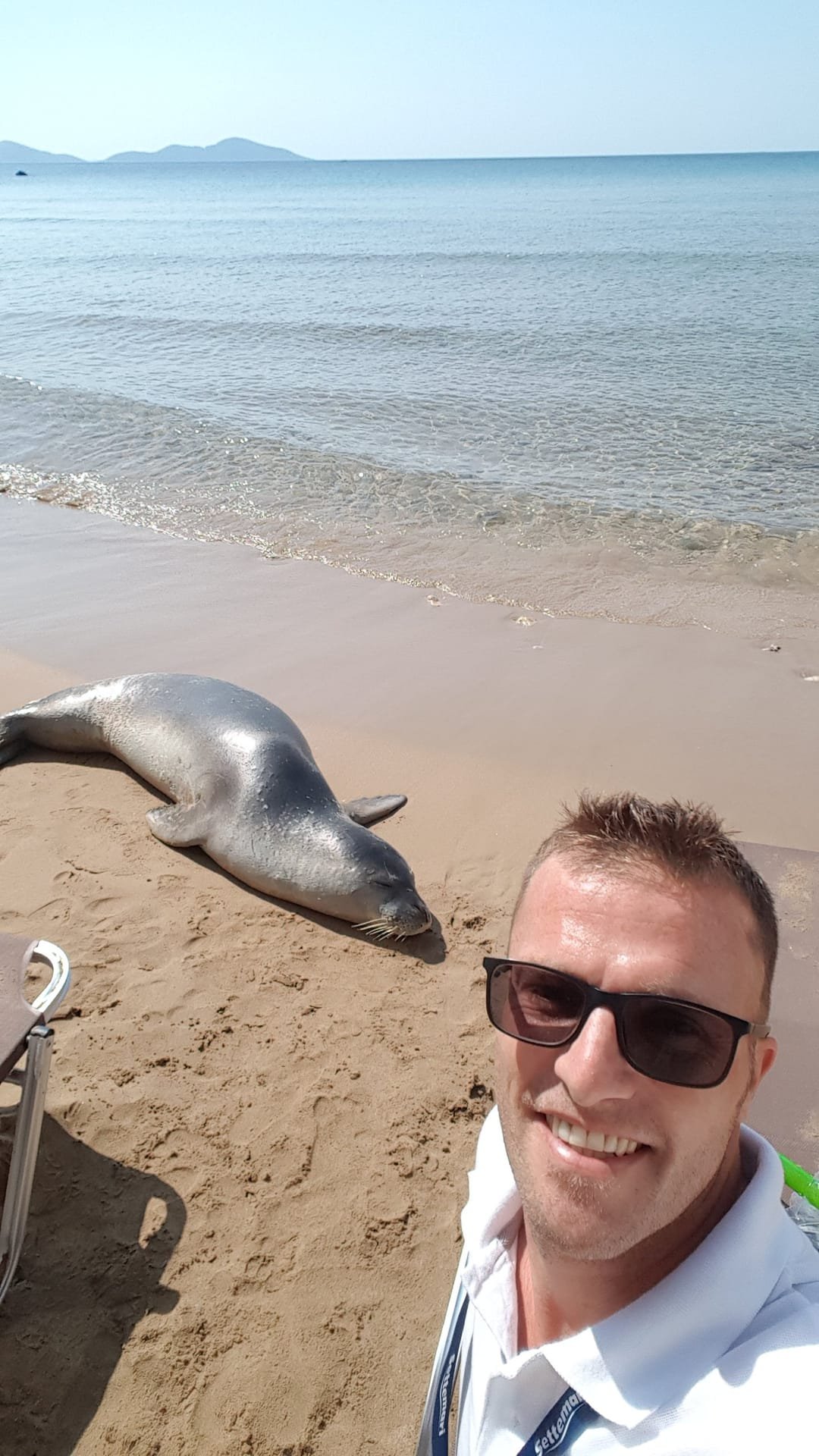 Foca monaca avvistata sulla spiaggia ad Alonissos