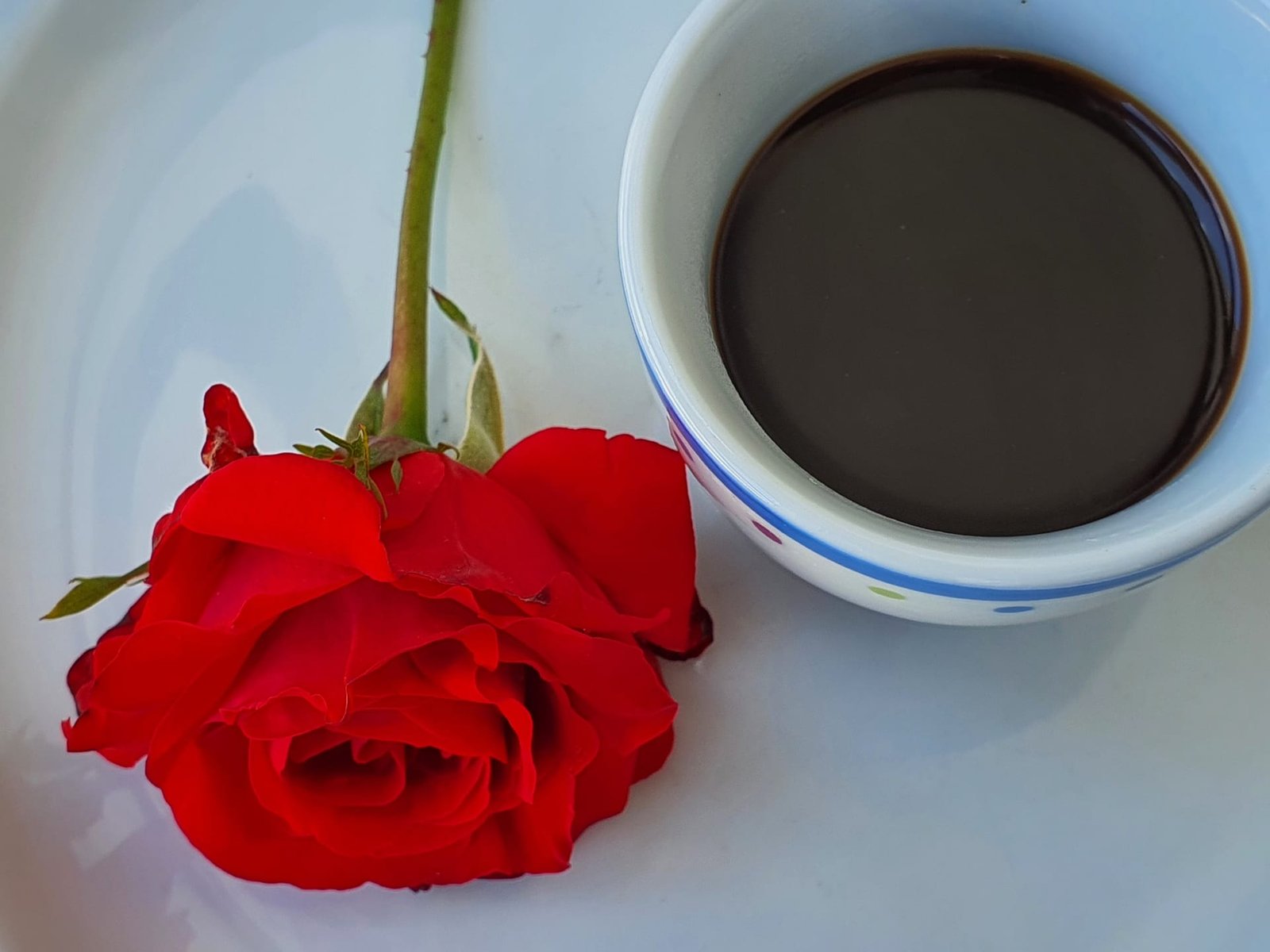 Una rosa e un caffè, dedicati a mia madre