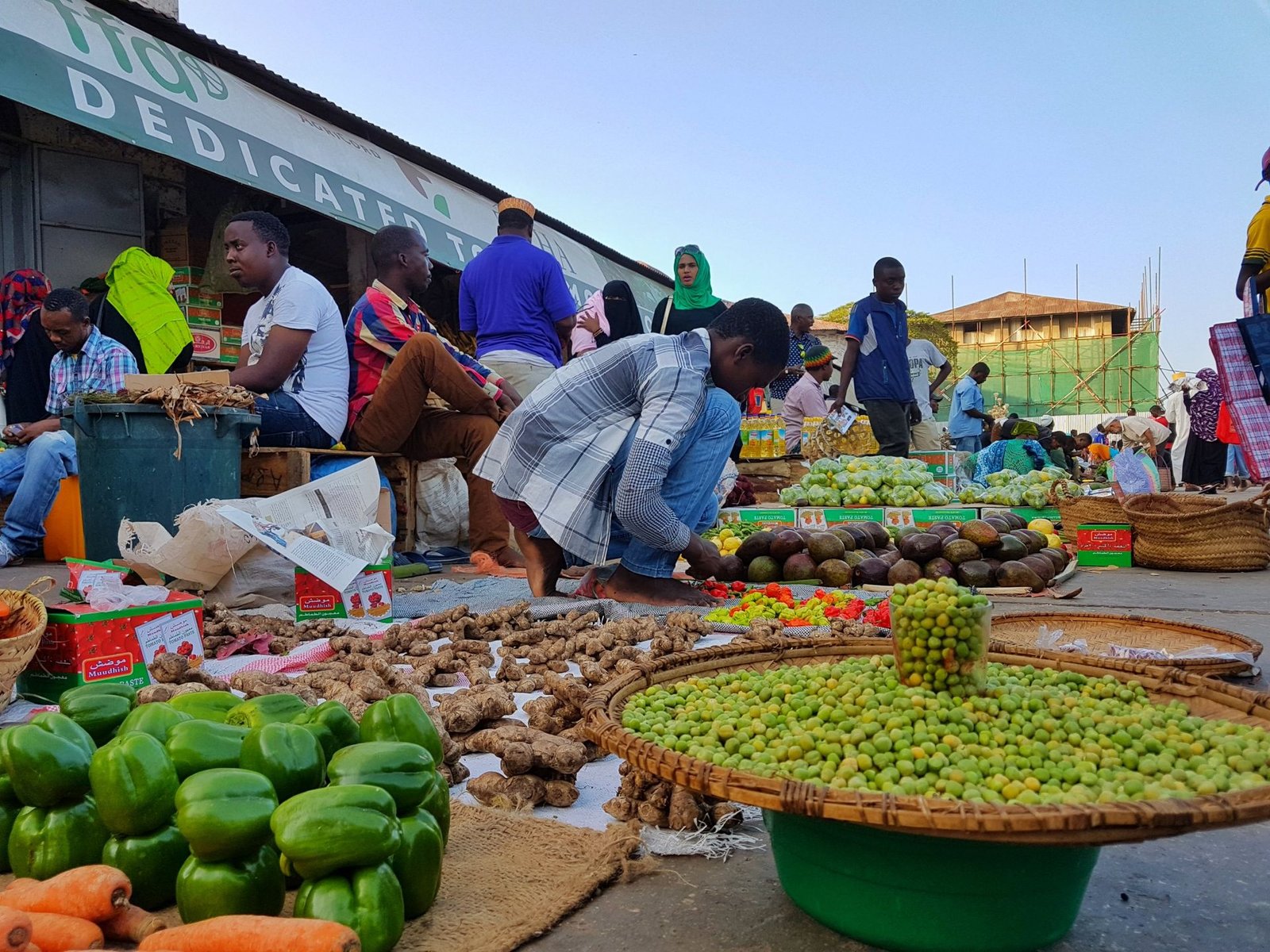 Zanzibar: l'isola dai mille colori che ti ruba il cuore