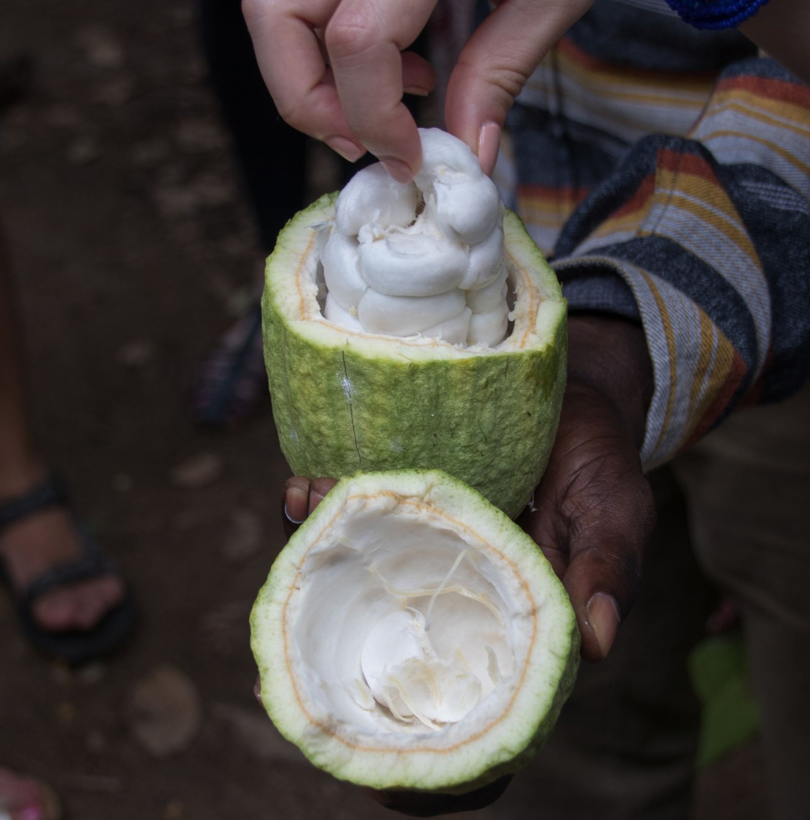 Zanzibar: l'isola dai mille colori che ti ruba il cuore
