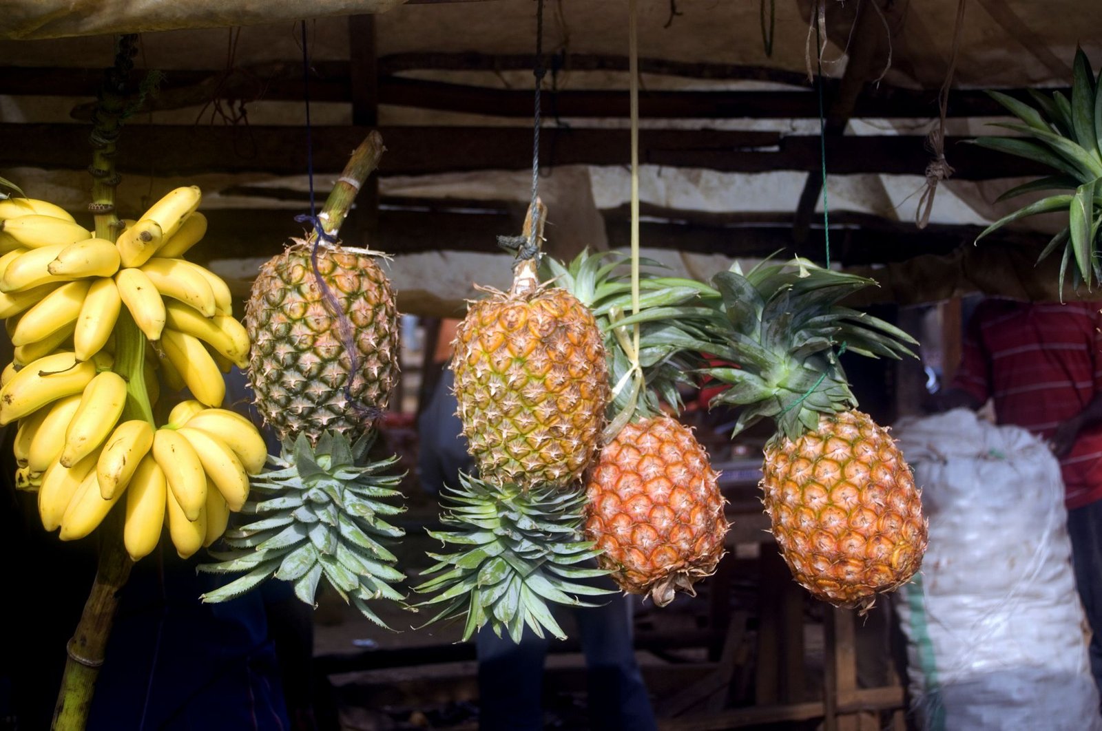 Zanzibar: l'isola dai mille colori che ti ruba il cuore