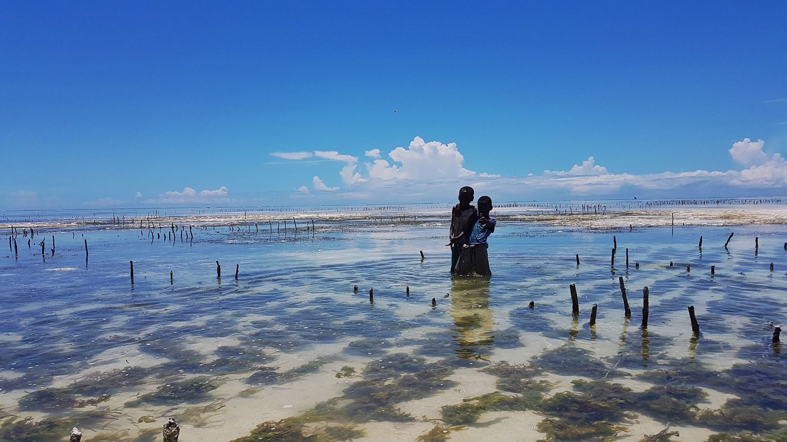 Zanzibar: l'isola dai mille colori che ti ruba il cuore