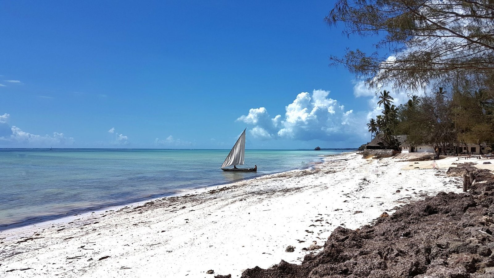 Zanzibar: l'isola dai mille colori che ti ruba il cuore