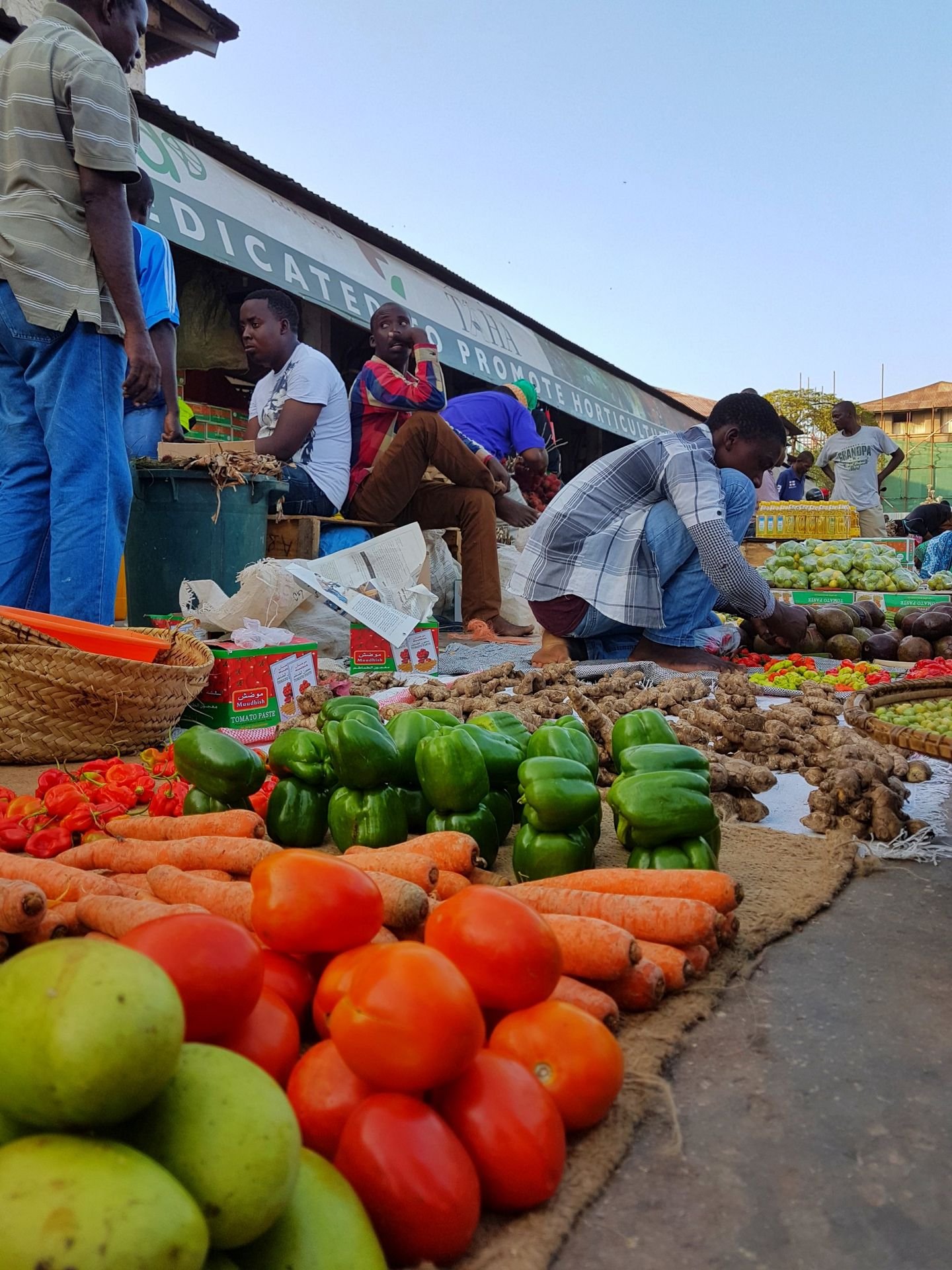 Zanzibar: l'isola dai mille colori che ti ruba il cuore