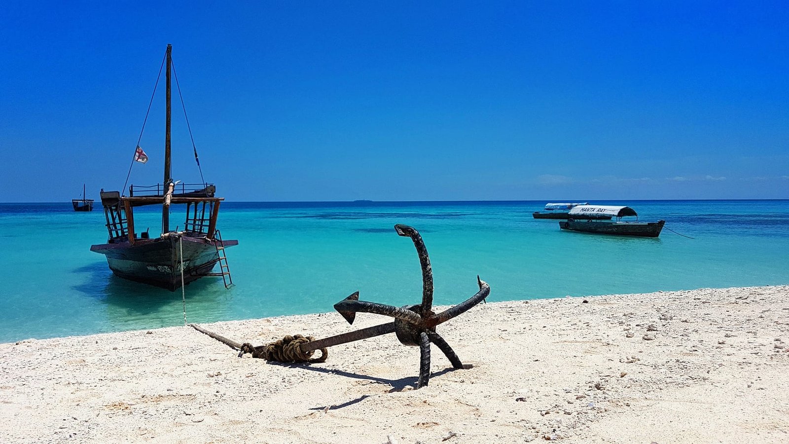 Colori vivaci di Zanzibar