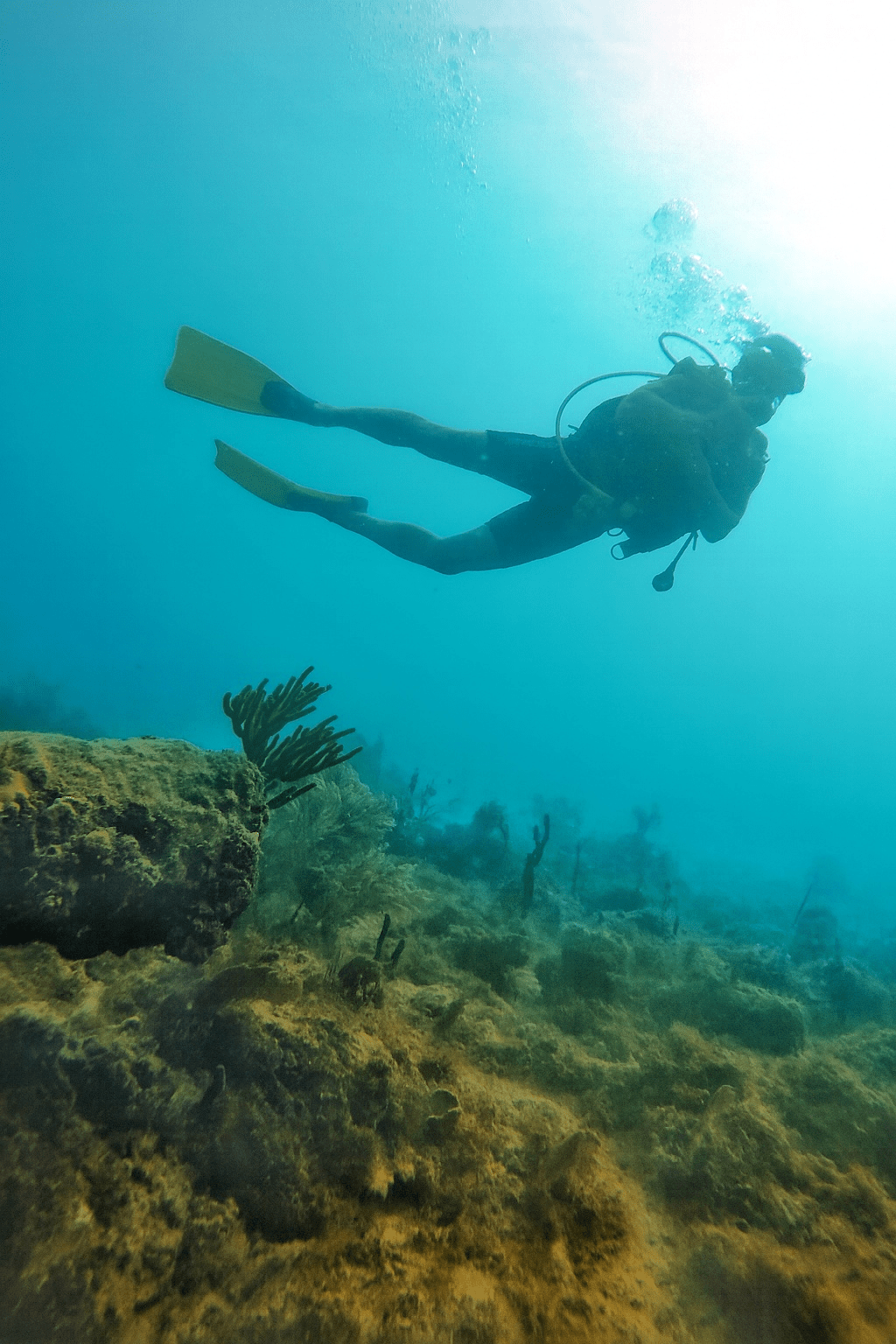 Tornare a fare diving a Bayahíbe: immersioni, emozioni e rispetto per il&nbsp;mare